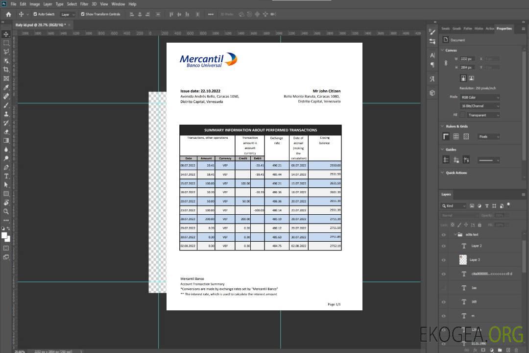 Relevé de la banque Venezuela Mercantil template